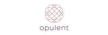 Opulent Group - Top Electronics Manufacturing Services Companies in APAC Opulent Group