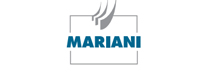Mariani Metal Fabricators: Bridging Engineering and Aesthetics in Architectural Structures 